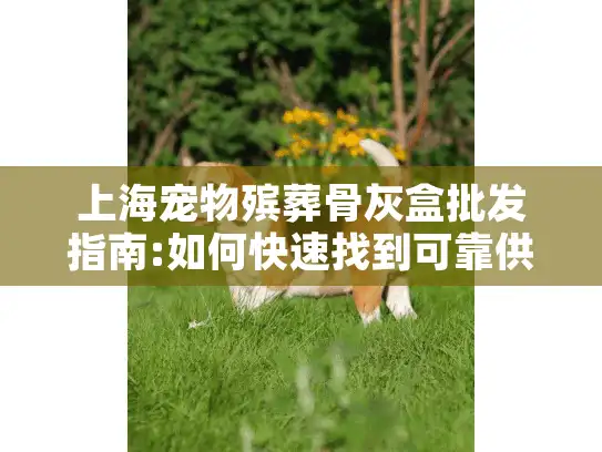 上海宠物殡葬骨灰盒批发指南:如何快速找到可靠供应商?