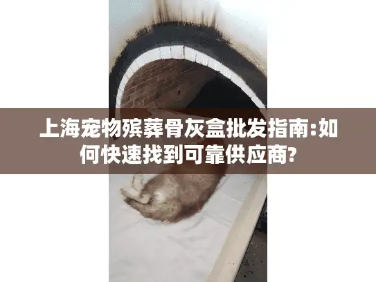 上海宠物殡葬骨灰盒批发指南:如何快速找到可靠供应商?