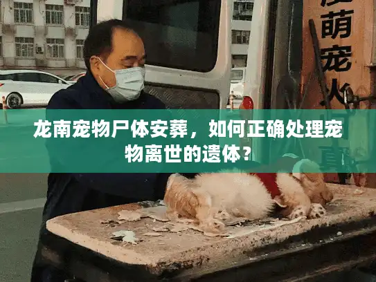 龙南宠物尸体安葬，如何正确处理宠物离世的遗体？