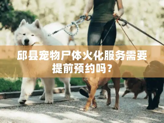邱县宠物尸体火化服务需要提前预约吗？
