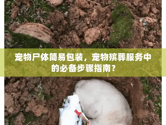 宠物尸体简易包装，宠物殡葬服务中的必备步骤指南？