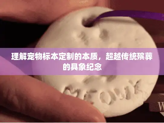 理解宠物标本定制的本质，超越传统殡葬的具象纪念
