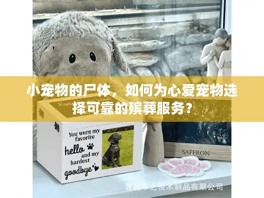 小宠物的尸体，如何为心爱宠物选择可靠的殡葬服务？