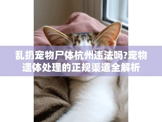 乱扔宠物尸体杭州违法吗?宠物遗体处理的正规渠道全解析