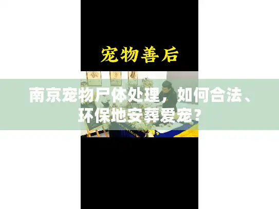 南京宠物尸体处理，如何合法、环保地安葬爱宠？