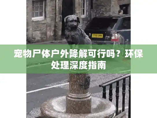 宠物尸体户外降解可行吗？环保处理深度指南