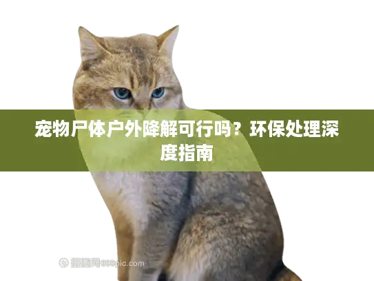 宠物尸体户外降解可行吗？环保处理深度指南