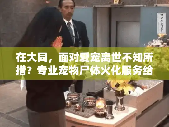 在大同，面对爱宠离世不知所措？专业宠物尸体火化服务给您安心答案