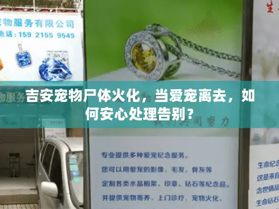 吉安宠物尸体火化，当爱宠离去，如何安心处理告别？