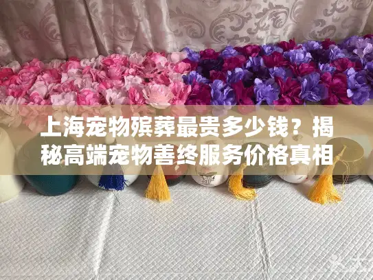 上海宠物殡葬最贵多少钱？揭秘高端宠物善终服务价格真相