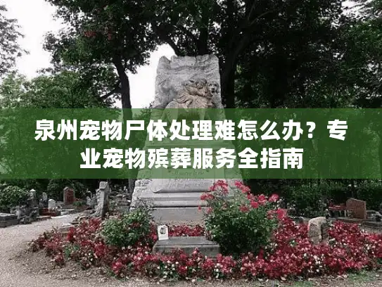 泉州宠物尸体处理难怎么办？专业宠物殡葬服务全指南
