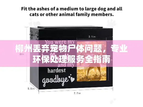柳州丢弃宠物尸体问题，专业环保处理服务全指南