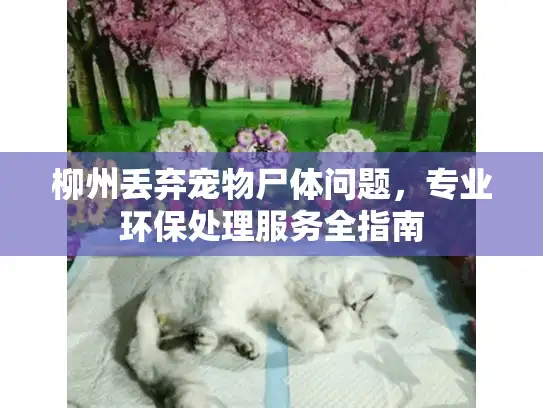 柳州丢弃宠物尸体问题，专业环保处理服务全指南