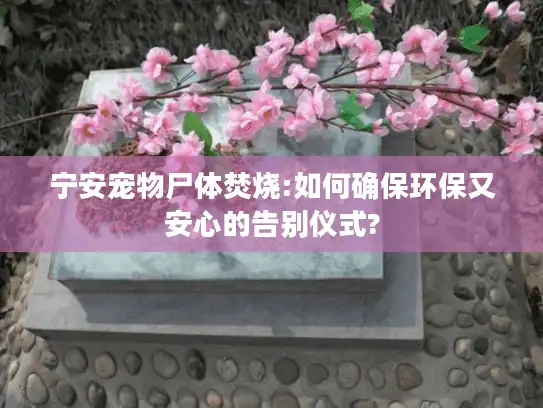 宁安宠物尸体焚烧:如何确保环保又安心的告别仪式?