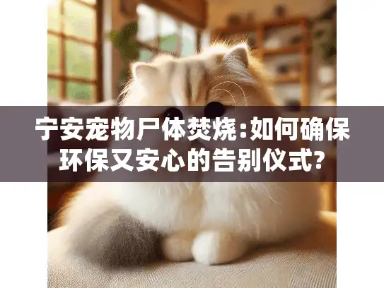 宁安宠物尸体焚烧:如何确保环保又安心的告别仪式?