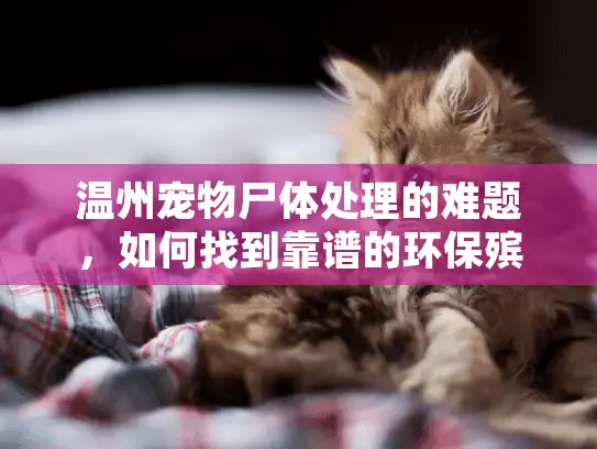 温州宠物尸体处理的难题，如何找到靠谱的环保殡葬服务？