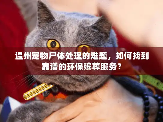 温州宠物尸体处理的难题，如何找到靠谱的环保殡葬服务？