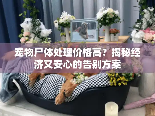 宠物尸体处理价格高？揭秘经济又安心的告别方案