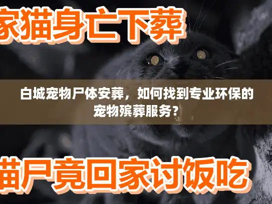白城宠物尸体安葬，如何找到专业环保的宠物殡葬服务？