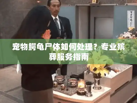 宠物鳄龟尸体如何处理？专业殡葬服务指南