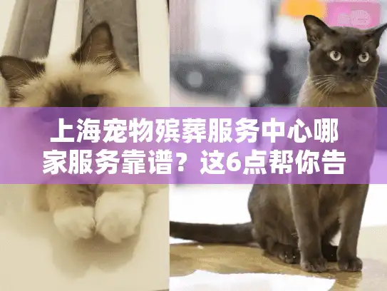 上海宠物殡葬服务中心哪家服务靠谱？这6点帮你告别告别焦虑！