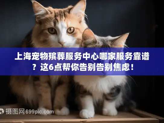 上海宠物殡葬服务中心哪家服务靠谱？这6点帮你告别告别焦虑！