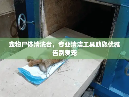 宠物尸体清洗台，专业清洁工具助您优雅告别爱宠