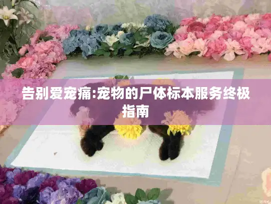告别爱宠痛:宠物的尸体标本服务终极指南