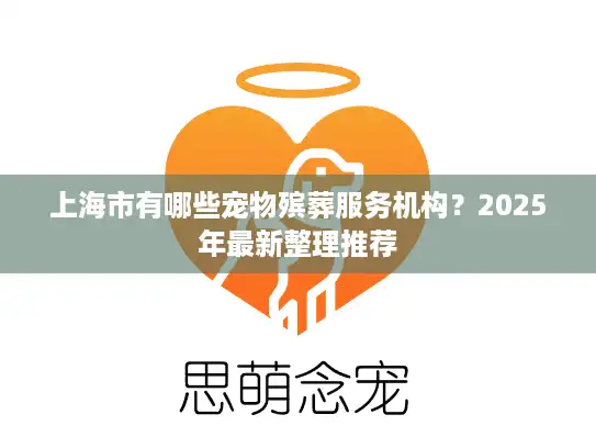 上海市有哪些宠物殡葬服务机构？2025年最新整理推荐