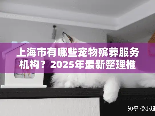 上海市有哪些宠物殡葬服务机构？2025年最新整理推荐