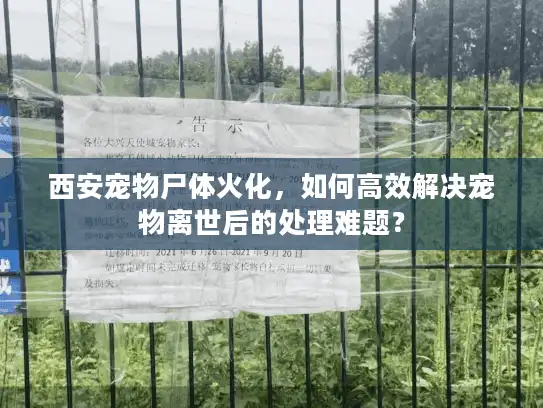 西安宠物尸体火化，如何高效解决宠物离世后的处理难题？