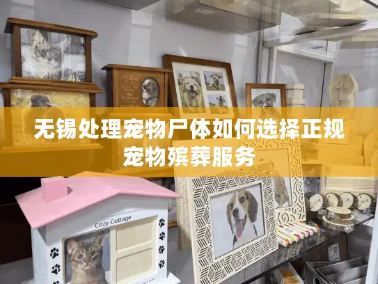 无锡处理宠物尸体如何选择正规宠物殡葬服务