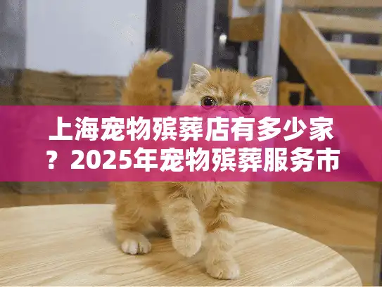 上海宠物殡葬店有多少家？2025年宠物殡葬服务市场大调查
