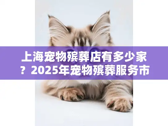 上海宠物殡葬店有多少家？2025年宠物殡葬服务市场大调查