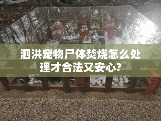 泗洪宠物尸体焚烧怎么处理才合法又安心?