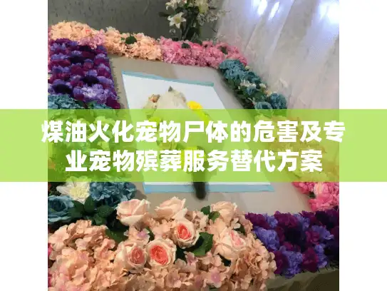 煤油火化宠物尸体的危害及专业宠物殡葬服务替代方案
