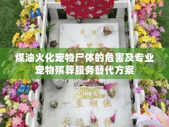 煤油火化宠物尸体的危害及专业宠物殡葬服务替代方案