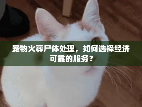 宠物火葬尸体处理，如何选择经济可靠的服务？