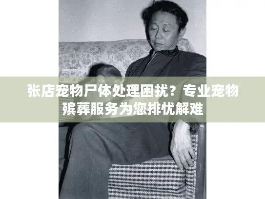 张店宠物尸体处理困扰？专业宠物殡葬服务为您排忧解难