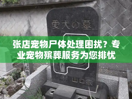 张店宠物尸体处理困扰？专业宠物殡葬服务为您排忧解难