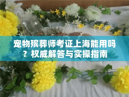 宠物殡葬师考证上海能用吗？权威解答与实操指南