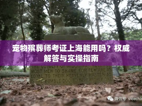 宠物殡葬师考证上海能用吗？权威解答与实操指南