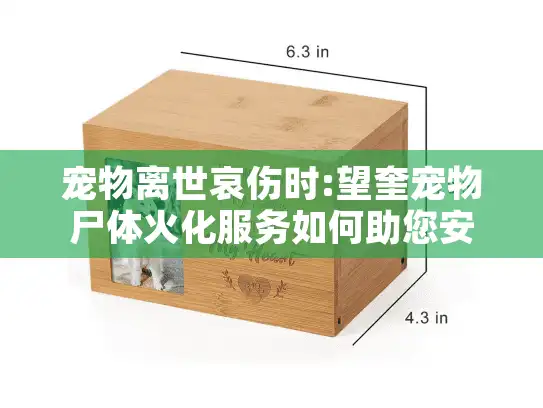 宠物离世哀伤时:望奎宠物尸体火化服务如何助您安心?