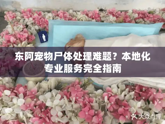 东阿宠物尸体处理难题？本地化专业服务完全指南