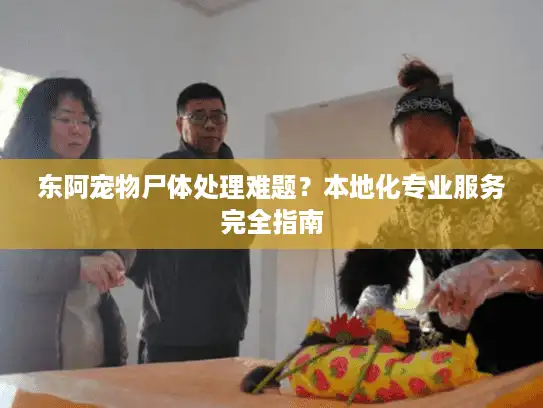 东阿宠物尸体处理难题？本地化专业服务完全指南