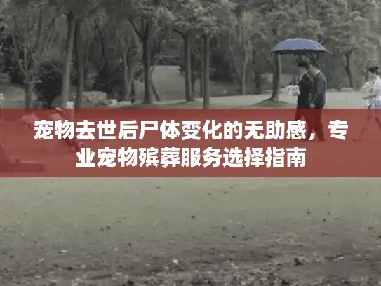 宠物去世后尸体变化的无助感，专业宠物殡葬服务选择指南