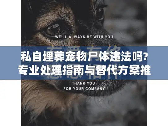 私自埋葬宠物尸体违法吗?专业处理指南与替代方案推荐