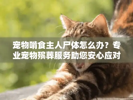 宠物啃食主人尸体怎么办？专业宠物殡葬服务助您安心应对