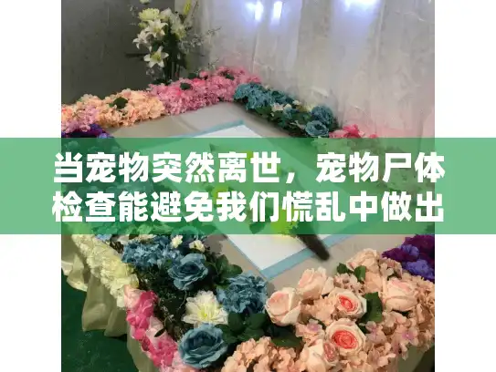 当宠物突然离世，宠物尸体检查能避免我们慌乱中做出错误决定吗？