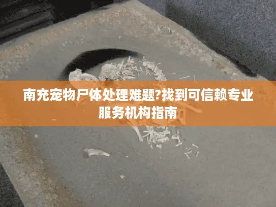 南充宠物尸体处理难题?找到可信赖专业服务机构指南